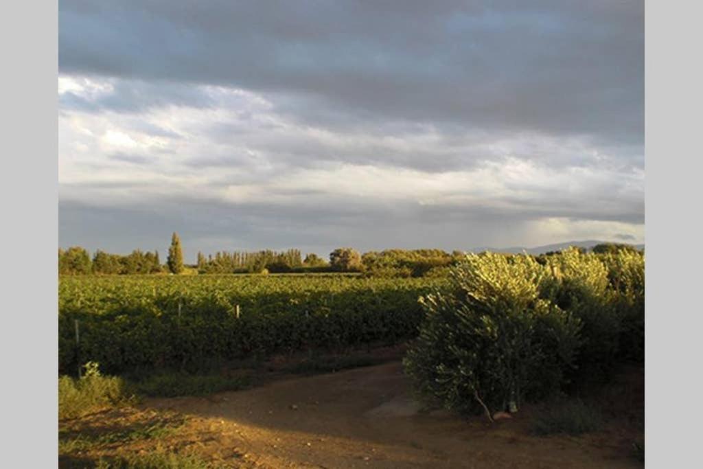 Gite De Charme Du Domaine Pagnon Guillemette Torreilles Exterior photo